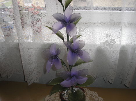 P1010443