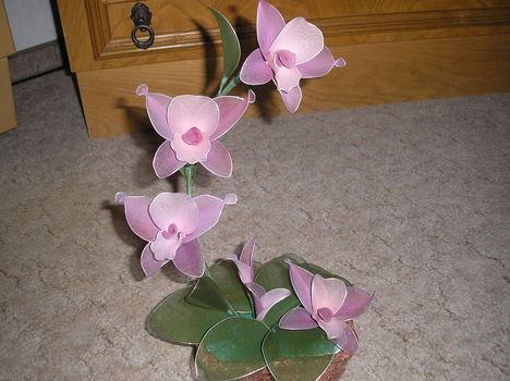 P1010455
