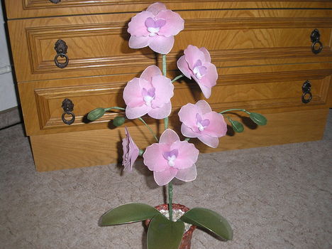P1010480