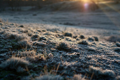 Early_Morning_by_Robert_Katzki