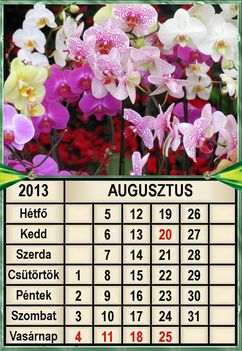 virágos 2013  augusztus