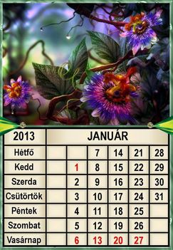virágos 2013  január