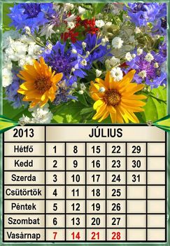 virágos 2013  július