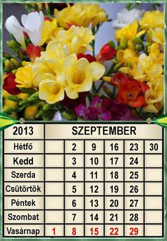 virágos 2013  szeptember