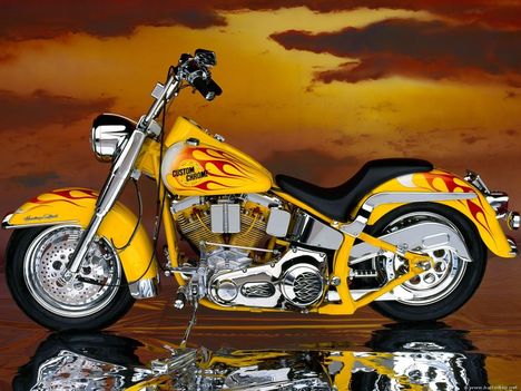 custom_chopper