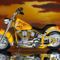 custom_chopper