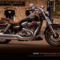 harleydavidson_2010_2_437462_70012_n