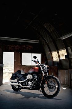 HARLEY-DAVIDSON BLACKLINE3