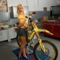 phoca_thumb_l_suzuki_stefanie 10