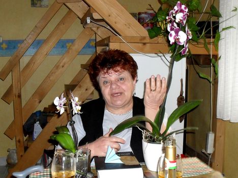 Csöpi-61-: 1