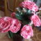DSC00191