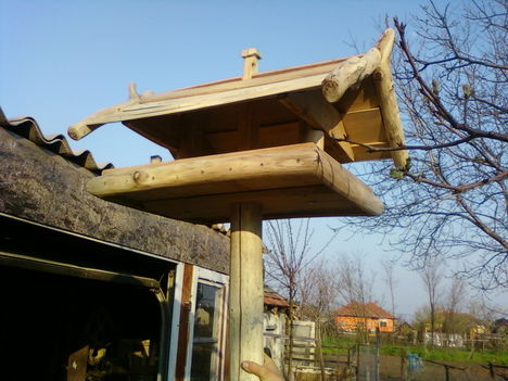 eladó  eza madáretető 13