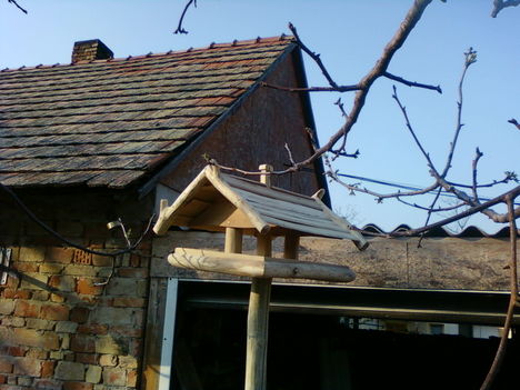 eladó  eza madáretető 19
