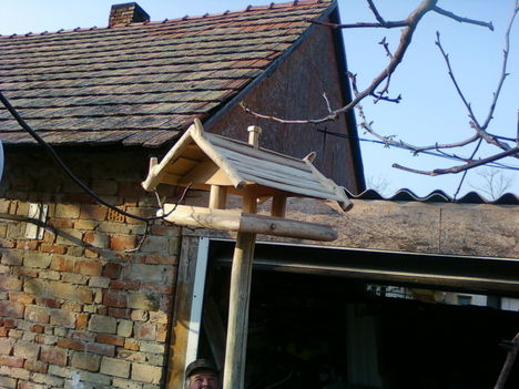 eladó  eza madáretető 6