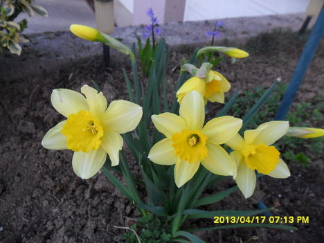 SAM_9367