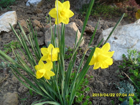 SAM_9468