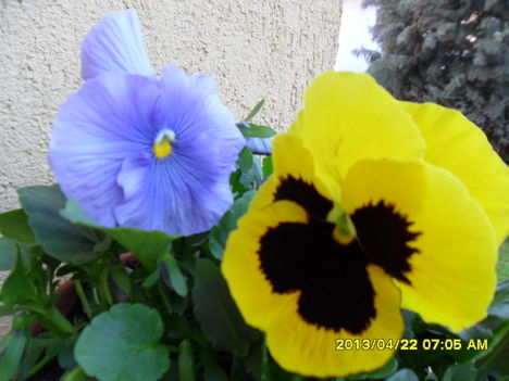 SAM_9471