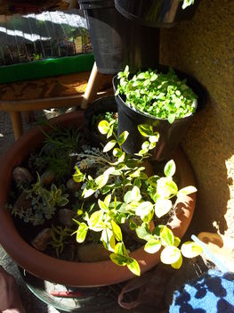 20130423_103750