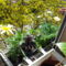 20130423_103843