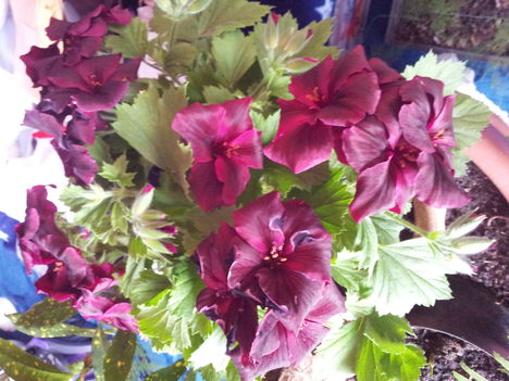 20130430_140512