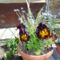 DSCN0775