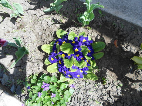 DSCN0777