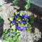 DSCN0777