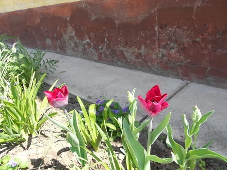 DSCN0778
