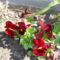 DSCN0779
