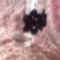 Lila és rózsaszín csillag alakú virág minta