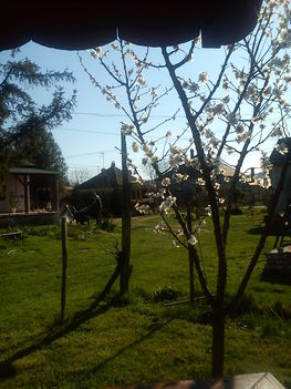 DSC00636