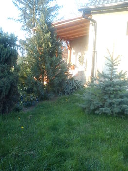 DSC00645
