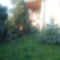 DSC00645