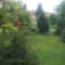 DSC00704