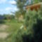 DSC00731