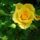 Dsc05150_1388408_9824_t