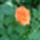 Dsc05194_1388403_5781_t