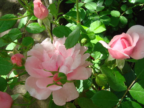 DSC05289