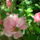Dsc05289_1388404_6543_t