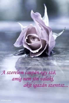 kedvenc képeim 20