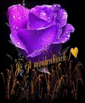 kedvenc képeim 27