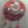 Nyuszis_disz_a__praktika_ujsag_alapjan_1388956_3935_t