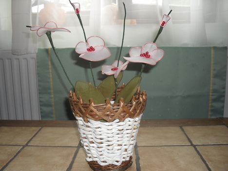 orhidea 3.