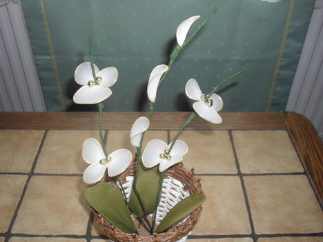 orhidea 4.