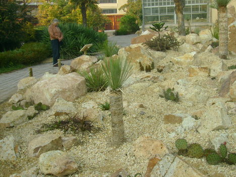 2008 állatkert 