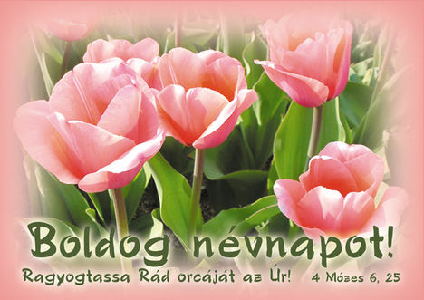 BOLDOG NÉVNAPOT KIVÁNUNK SZERETETETTEL A MÁRIÁKNAK. 