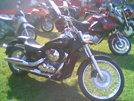 vadkerti_motor_kiallitas_193986_25575_n