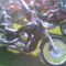 vadkerti_motor_kiallitas_193986_25575_n
