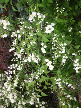 P1120977