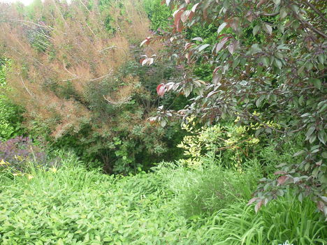 P1130020